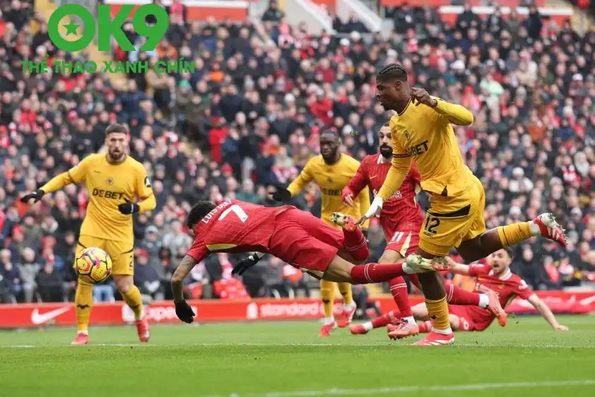 Wolves đi vào lịch sử giải ngoại hạng Anh với thành tích quá tệ. Wolves đi vào lịch sử giải ngoại hạng Anh với thành tích quá tệ.